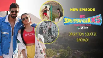 Backdrop for the TV series "MTV Splitsvilla" #1355011