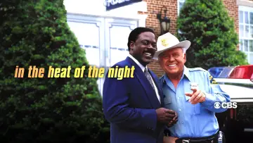 Backdrop for the TV series "In the Heat of the Night" #1385502