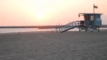 Backdrop for the TV series "Son of the Beach" #1658357
