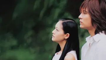 Backdrop for the TV series "Meteor Garden" #1372345
