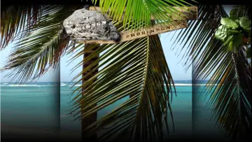 Backdrop for the TV series "Expeditie Robinson" #1537440
