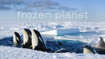 Backdrop for the TV series "Frozen Planet" #1455634