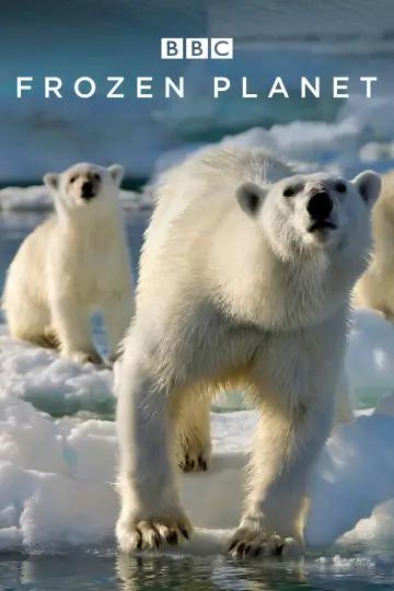 Poster for the TV series "Frozen Planet" #1455641