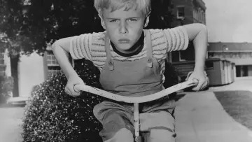 Backdrop for the TV series "Dennis the Menace" #1371204