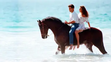 Backdrop for the TV series "Marimar" #1389640