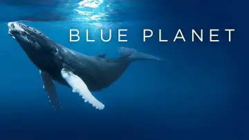 Backdrop for the TV series "The Blue Planet" #1455589