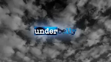 Backdrop for the TV series "Underbelly" #1338211