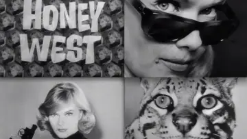 Backdrop for the TV series "Honey West" #1408122