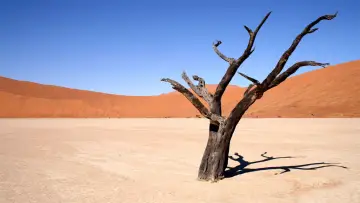 Backdrop for the TV series "Nature" #1293921