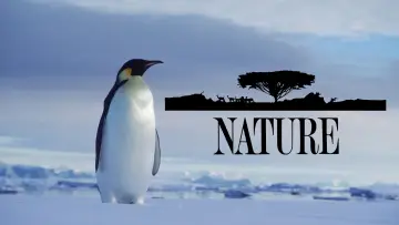 Backdrop for the TV series "Nature" #1293930