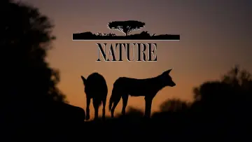 Backdrop for the TV series "Nature" #1293950