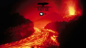 Backdrop for the TV series "Nature" #1293959