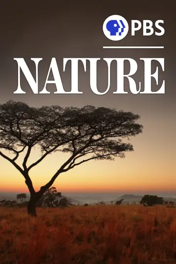Poster for the TV series "Nature" #1293978