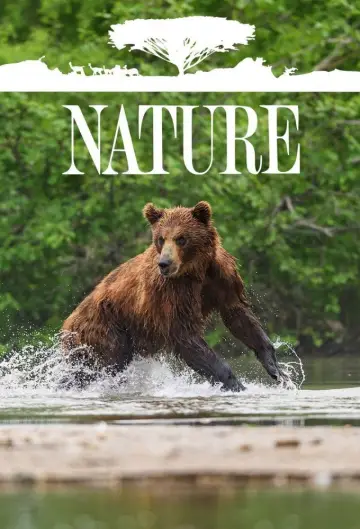 Poster for the TV series "Nature" #1293979