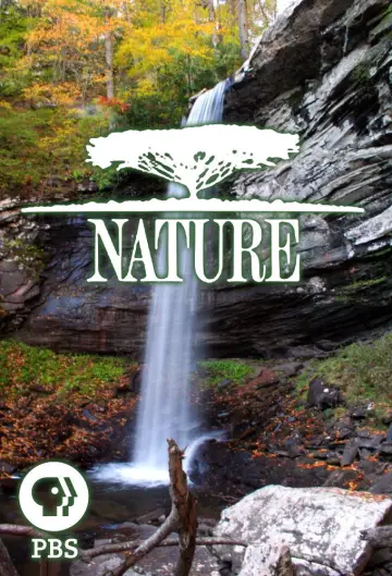 Poster for the TV series "Nature" #1293985