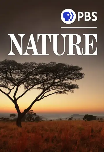 Poster for the TV series "Nature" #1293988