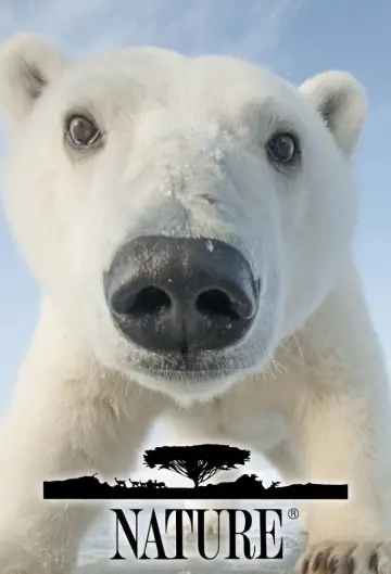 Poster for the TV series "Nature" #1293994