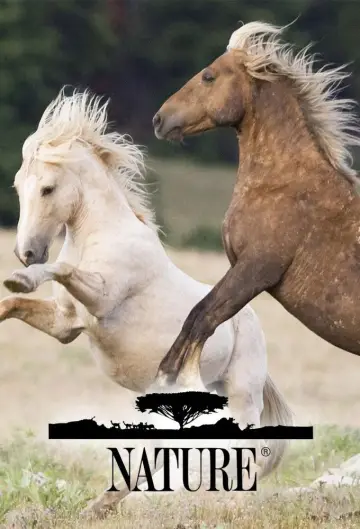 Poster for the TV series "Nature" #1293999
