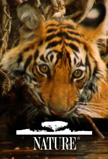 Poster for the TV series "Nature" #1294000