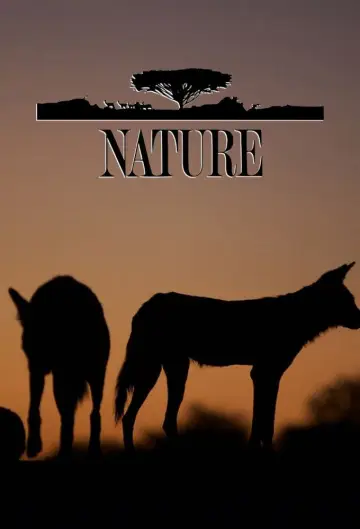 Poster for the TV series "Nature" #1294004