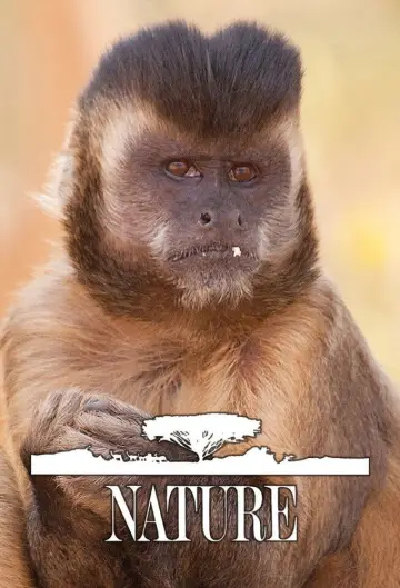 Poster for the TV series "Nature" #1294006