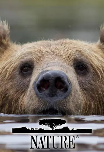 Poster for the TV series "Nature" #1294007
