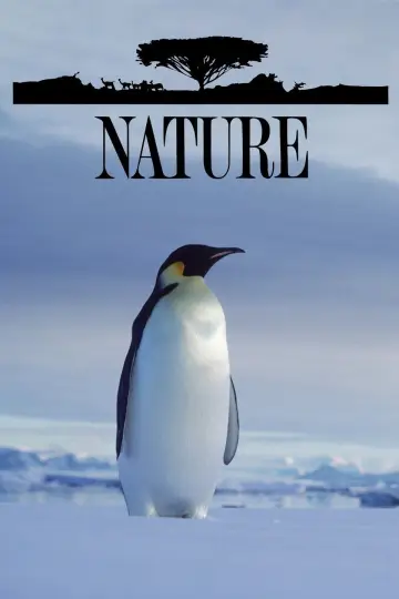 Poster for the TV series "Nature" #1294009