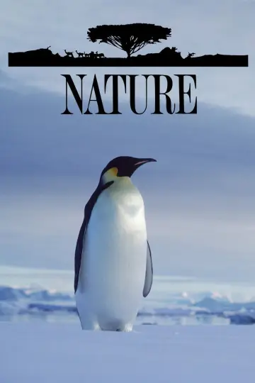 Poster for the TV series "Nature" #1294012