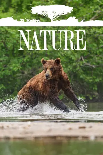 Poster for the TV series "Nature" #1294015