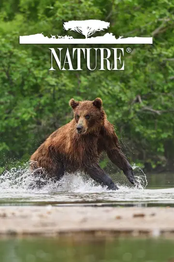 Poster for the TV series "Nature" #1294016