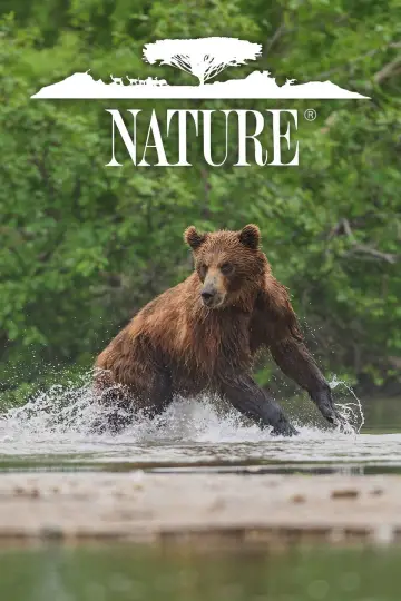 Poster for the TV series "Nature" #1294017