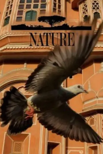 Poster for the TV series "Nature" #1294022