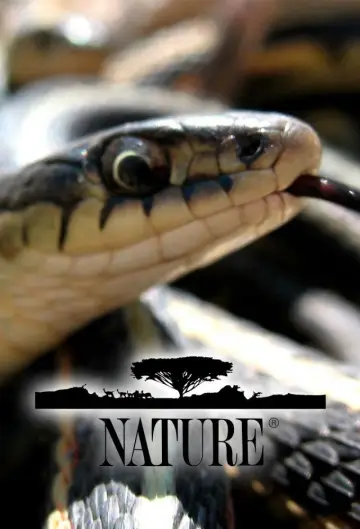 Poster for the TV series "Nature" #1294028
