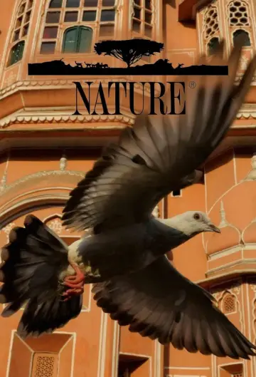Poster for the TV series "Nature" #1294029