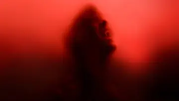 Backdrop for the TV series "True Blood" #1292155