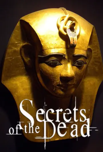 Poster for the TV series "Secrets of the Dead" #1396142
