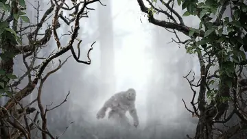Backdrop for the TV series "MonsterQuest" #1491879