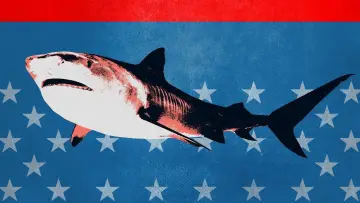 Backdrop for the TV series "Shark Week" #1362265