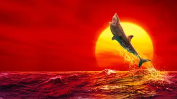 Backdrop for the TV series "Shark Week" #1362267