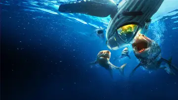 Backdrop for the TV series "Shark Week" #1362268