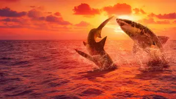 Backdrop for the TV series "Shark Week" #1362270