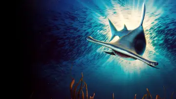 Backdrop for the TV series "Shark Week" #1362272