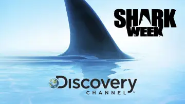 Backdrop for the TV series "Shark Week" #1362274