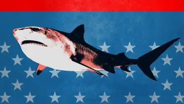 Backdrop for the TV series "Shark Week" #1362275