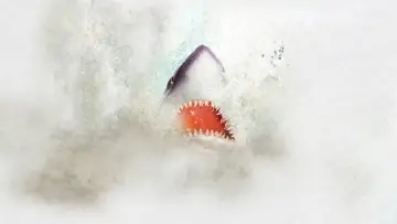 Backdrop for the TV series "Shark Week" #1362277