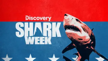 Backdrop for the TV series "Shark Week" #1362279