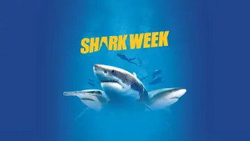 Backdrop for the TV series "Shark Week" #1362284