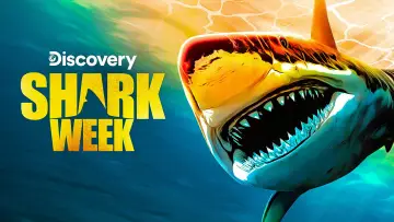 Backdrop for the TV series "Shark Week" #1362286
