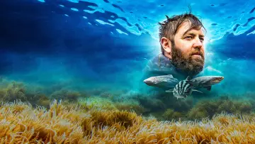 Backdrop for the TV series "Shark Week" #1362287