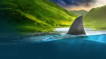Backdrop for the TV series "Shark Week" #1362292